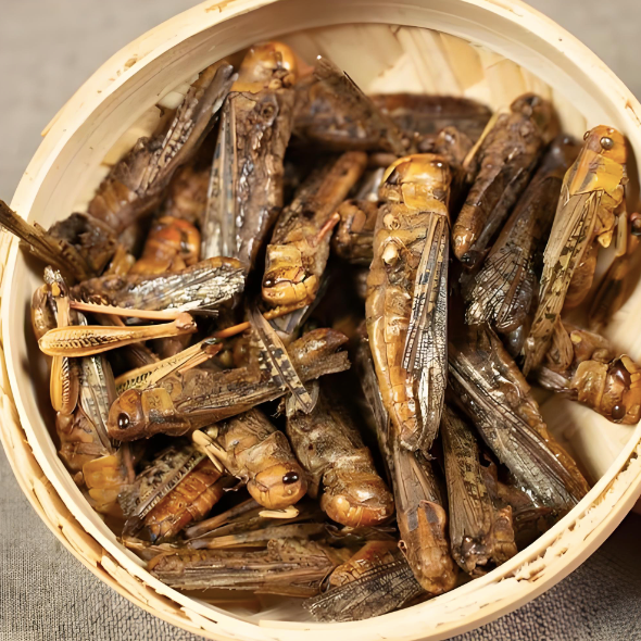 Dried Grasshoppers 850g