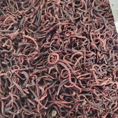 Dried Earthworms 850g