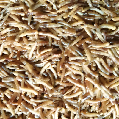 Dried Maggots 850g