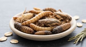 premium freeze-dried insects for pet food