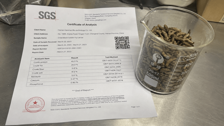 Analyzing an SGS Certificate of Analysis for a premium Bulk Black Soldier Fly Larvae (BSFL) supplier