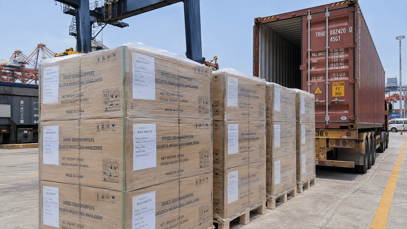 Comparing FOB and CIF international maritime shipping terms for premium Wholesale Dried Grasshoppers