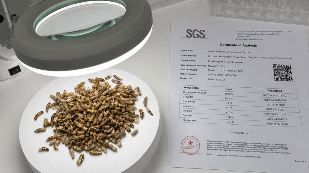 Comparing fishmeal alternative proteins from a premium Bulk Dried Maggots supplier