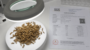 Comparing fishmeal alternative proteins from a premium Bulk Dried Maggots supplier