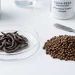 Premium crude protein analysis from a direct Bulk Dried Earthworms supplier