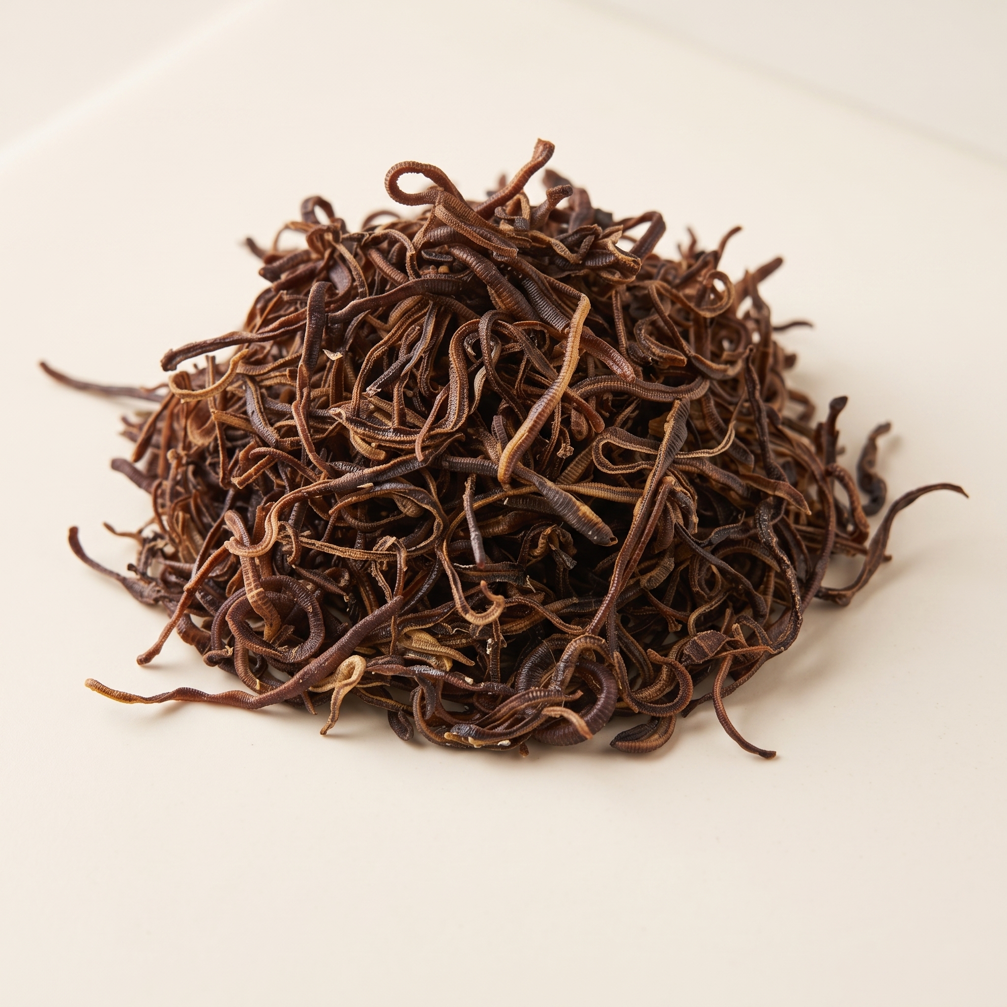 dried earthworms