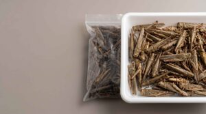 Bulk dried grasshoppers arranged for B2B quality and sourcing evaluation