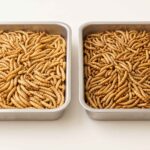 Microwave dried mealworms compared with hot-air-dried mealworms for B2B buyers