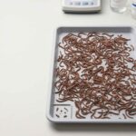 Dried earthworm specifications for ash moisture and cleanliness in B2B quality control
