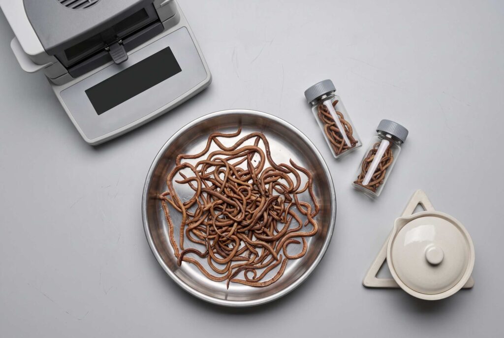 Dried earthworm specifications evaluated with representative samples for ash and moisture testing