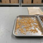 Importing bulk insects with commercial and compliance documents
