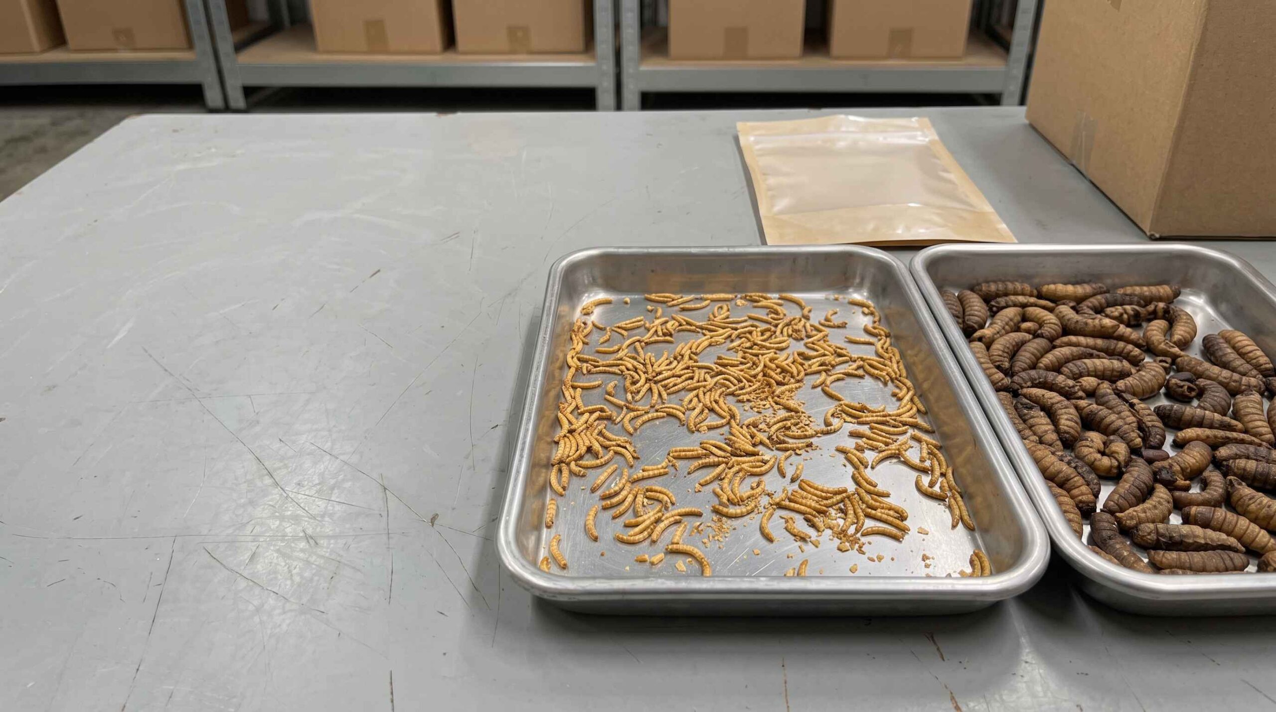 Importing bulk insects with commercial and compliance documents