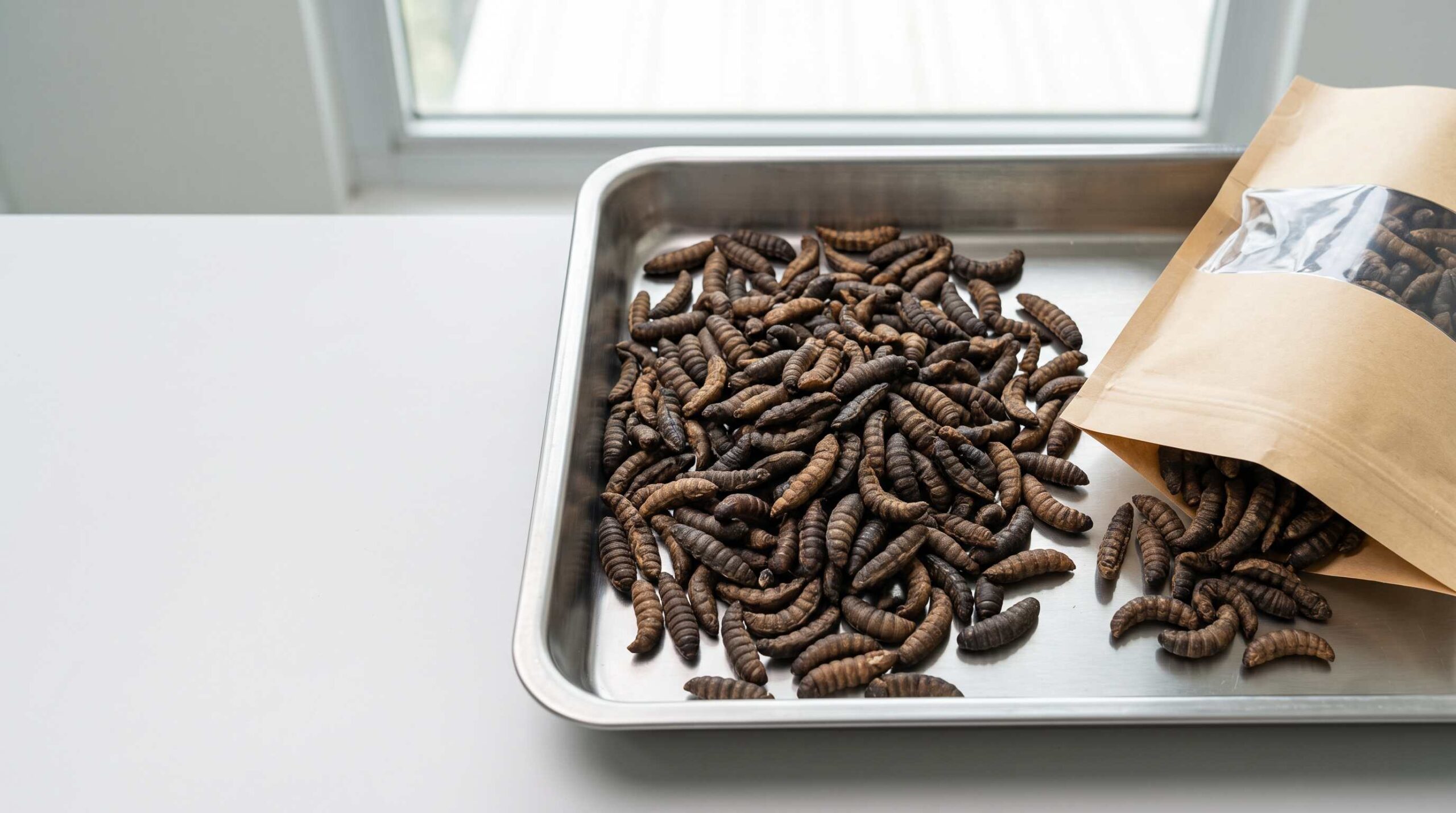 Bulk dried BSFL whole black soldier fly larvae for B2B commercial supply